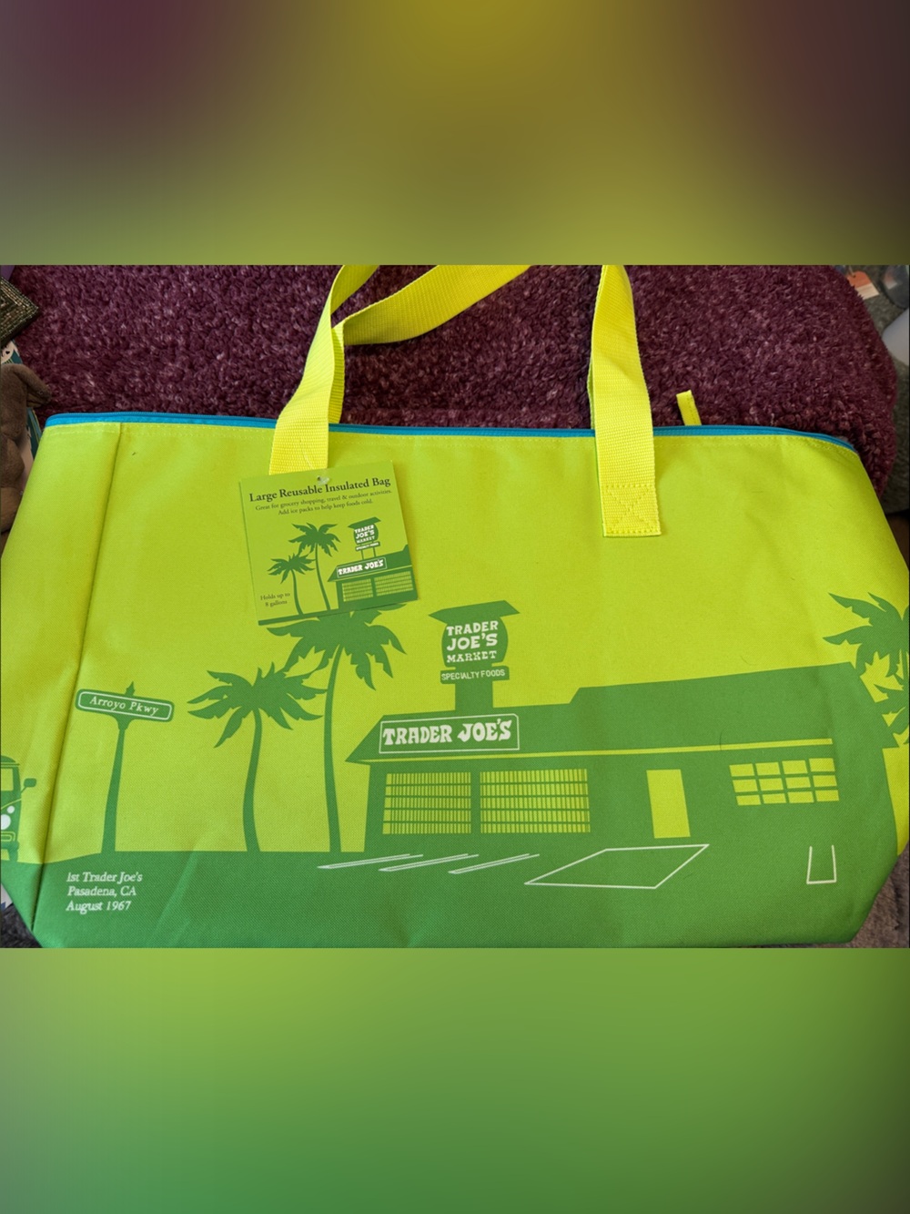 TRADER JOE’S 8 Gallon Insulated Tote Bag. Green exterior/blue interior!